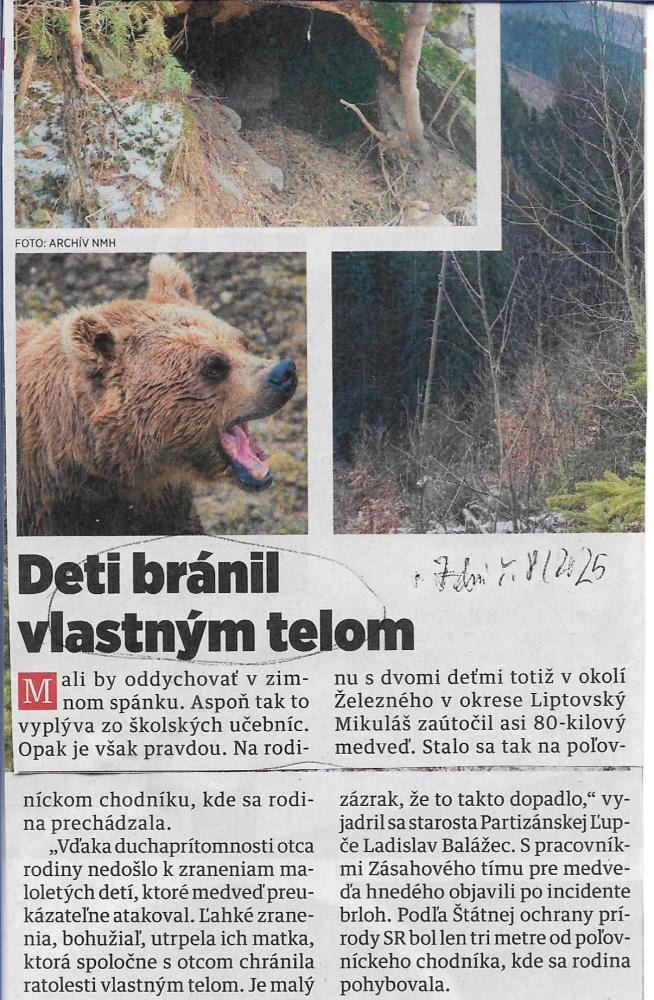 Nájdené v archíve